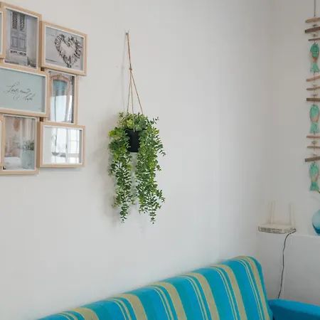 Apartment Centro Conil - Andalmar